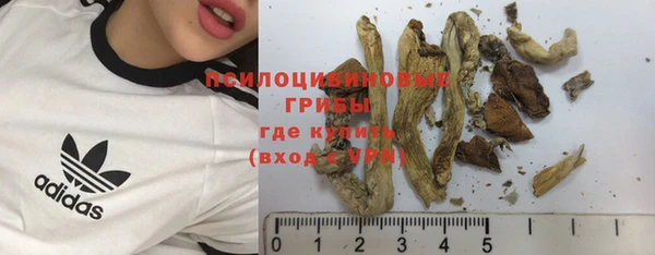 прущие крисы Алзамай