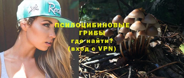 прущие крисы Алзамай